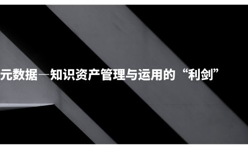 元数据—知识资产管理与运用的“利剑”