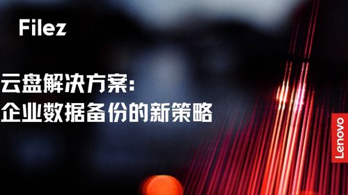 云盘解决方案：企业数据备份的新策略