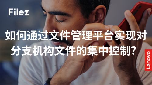 如何通过文件管理平台实现对分支机构文件的集中控制？