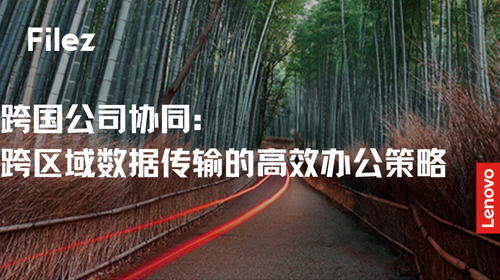 跨国公司协同：跨区域数据传输的高效办公策略