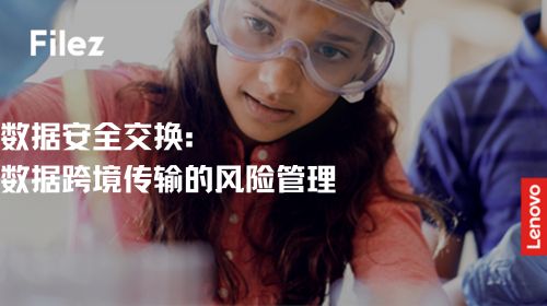 数据安全交换：数据跨境传输的风险管理