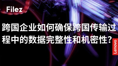 跨国企业如何确保跨国传输过程中的数据完整性和机密性？