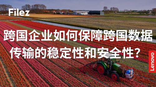 跨国企业如何保障跨国数据传输的稳定性和安全性？