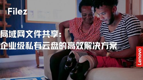 局域网文件共享：企业级私有云盘的高效解决方案