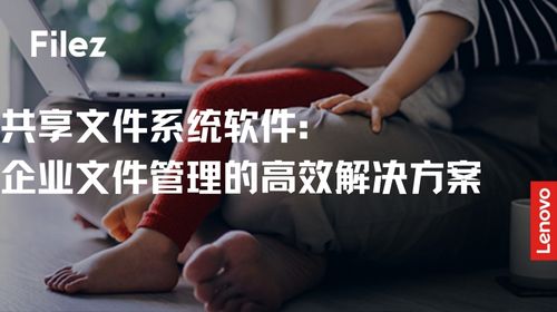 共享文件系统软件：企业文件管理的高效解决方案