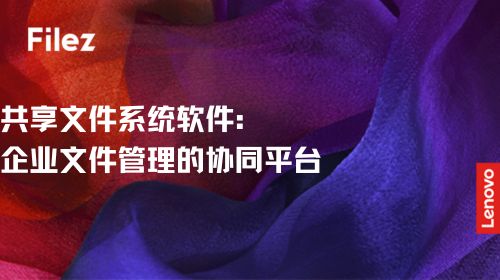 共享文件系统软件：企业文件管理的协同平台