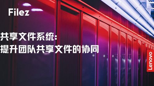 共享文件系统：提升团队共享文件的协同