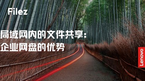 局域网内的文件共享：企业网盘的优势