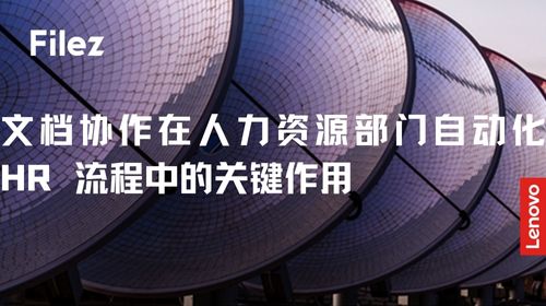文档协作在人力资源部门自动化 HR 流程中的关键作用