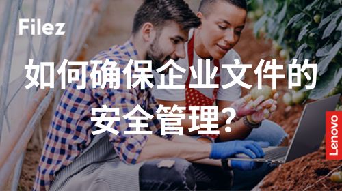 如何确保企业文件的安全管理？