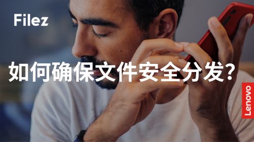 如何确保文件安全分发？