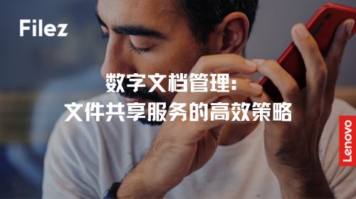 数字文档管理：文件共享服务的高效策略