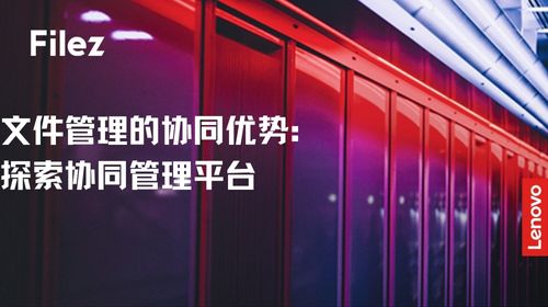 文件管理的协同优势：探索协同管理平台