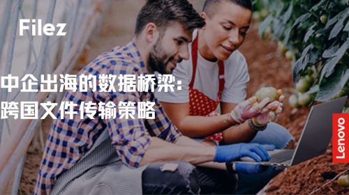中企出海的数据桥梁：跨国文件传输策略