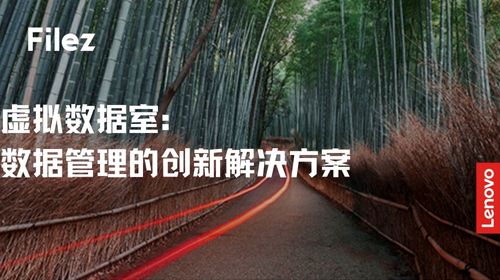 虚拟数据室：数据管理的创新解决方案