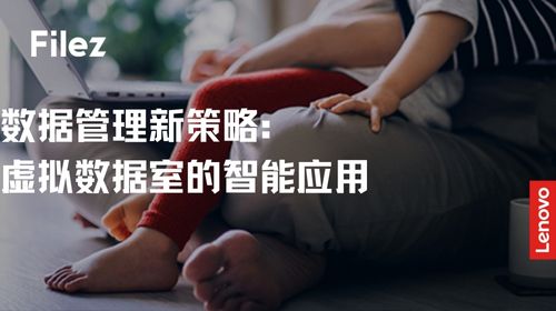 数据管理新策略：虚拟数据室的智能应用