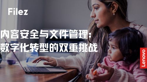 内容安全与文件管理：数字化转型的双重挑战