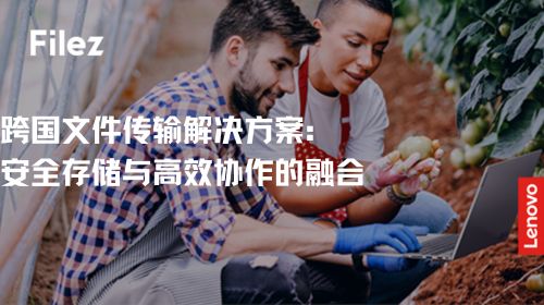 跨国文件传输解决方案：安全存储与高效协作的融合