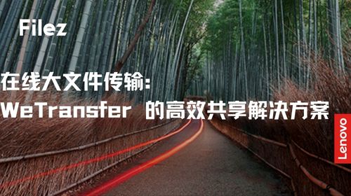 在线大文件传输：WeTransfer 的高效共享解决方案