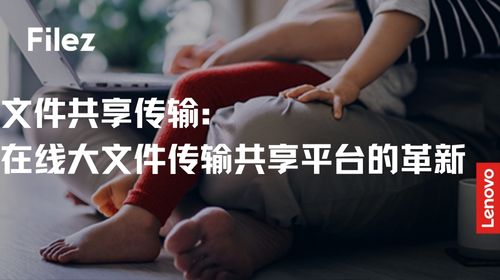 文件共享传输：在线大文件传输共享平台的革新