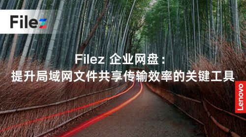 Filez 企业网盘：提升局域网文件共享传输效率的关键工具