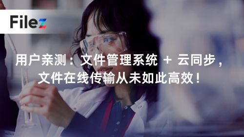 用户亲测：文件管理系统 + 云同步，文件在线传输从未如此高效！
