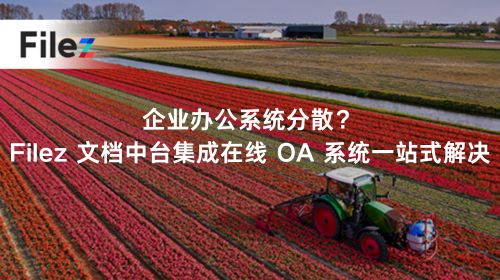 企业办公系统分散？Filez 文档中台集成在线 OA 系统一站式解决