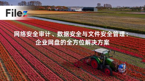 网络安全审计、数据安全与文件安全管理：企业网盘的全方位解决方案
