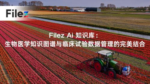 Filez Ai 知识库：生物医学知识图谱与临床试验数据管理的完美结合
