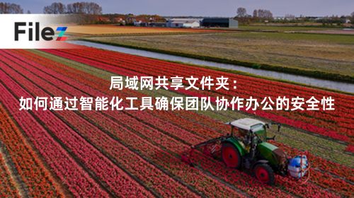 局域网共享文件夹：如何通过智能化工具确保团队协作办公的安全性