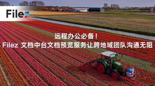 远程办公必备！Filez 文档中台文档预览服务让跨地域团队沟通无阻