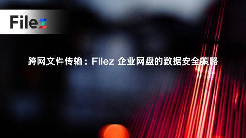 跨网文件传输：Filez 企业网盘的数据安全策略