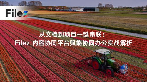 从文档到项目一键串联：Filez 内容协同平台赋能协同办公实战解析