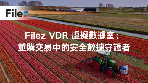 Filez VDR 虛擬數據室：並購交易中的安全數據守護者