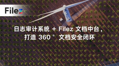 日志审计系统 + Filez 文档中台，打造 360° 文档安全闭环