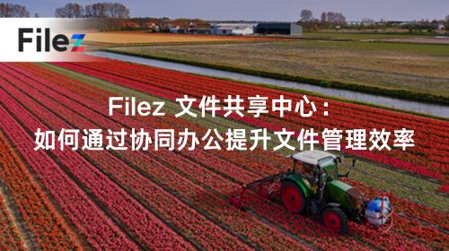 Filez 文件共享中心：如何通过协同办公提升文件管理效率