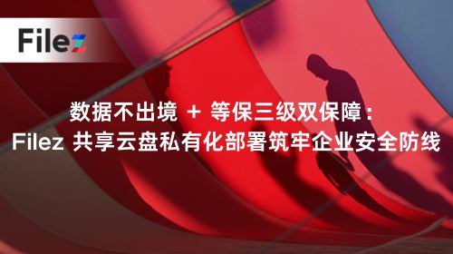 数据不出境 + 等保三级双保障：Filez 共享云盘私有化部署筑牢企业安全防线