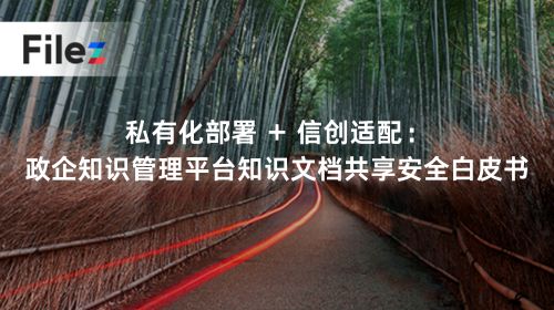 私有化部署 + 信创适配：政企知识管理平台知识文档共享安全白皮书