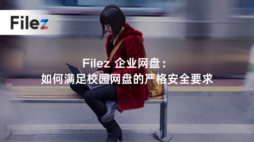 Filez 企业网盘：如何满足校园网盘的严格安全要求