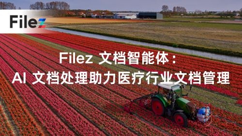 Filez 文档智能体：AI 文档处理助力医疗行业文档管理