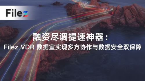 融资尽调提速神器：Filez VDR 数据室实现多方协作与数据安全双保障