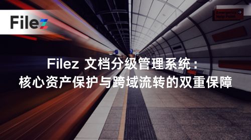 Filez 文档分级管理系统：核心资产保护与跨域流转的双重保障
