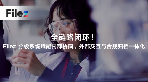 全链路闭环！Filez 分级系统赋能内部协同、外部交互与合规归档一体化