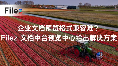 企业文档预览格式兼容难？Filez 文档中台预览中心给出解决方案